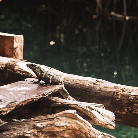 Uman Glamping & Cenote Tulum Hotel Exterior photo