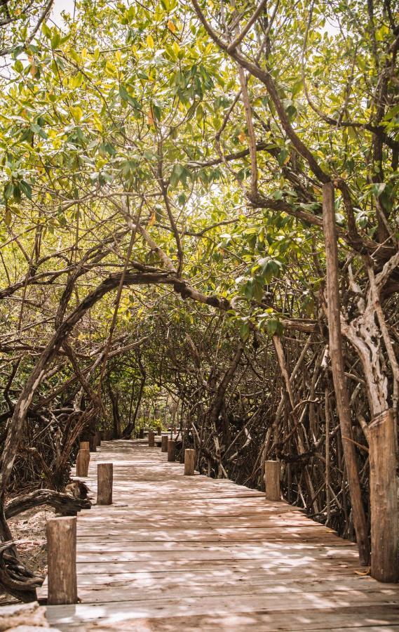 Uman Glamping & Cenote Tulum Hotel Exterior photo