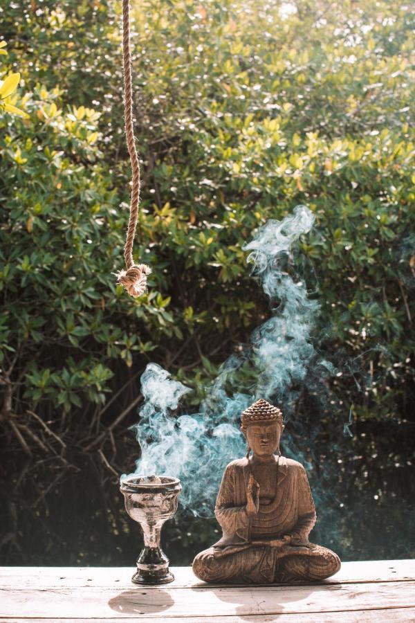 Uman Glamping & Cenote Tulum Hotel Exterior photo