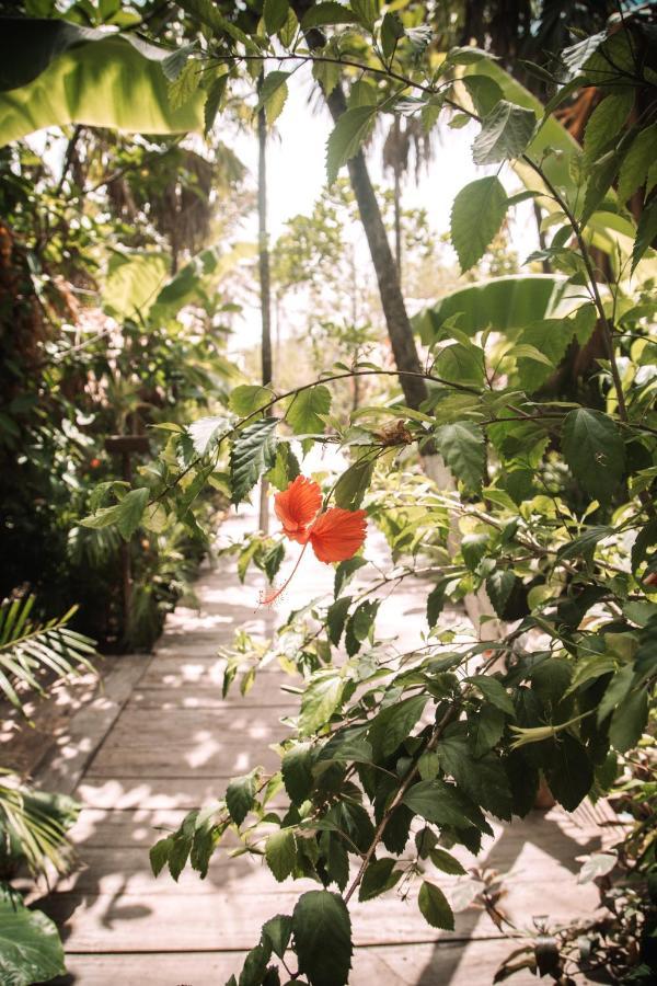Uman Glamping & Cenote Tulum Hotel Exterior photo