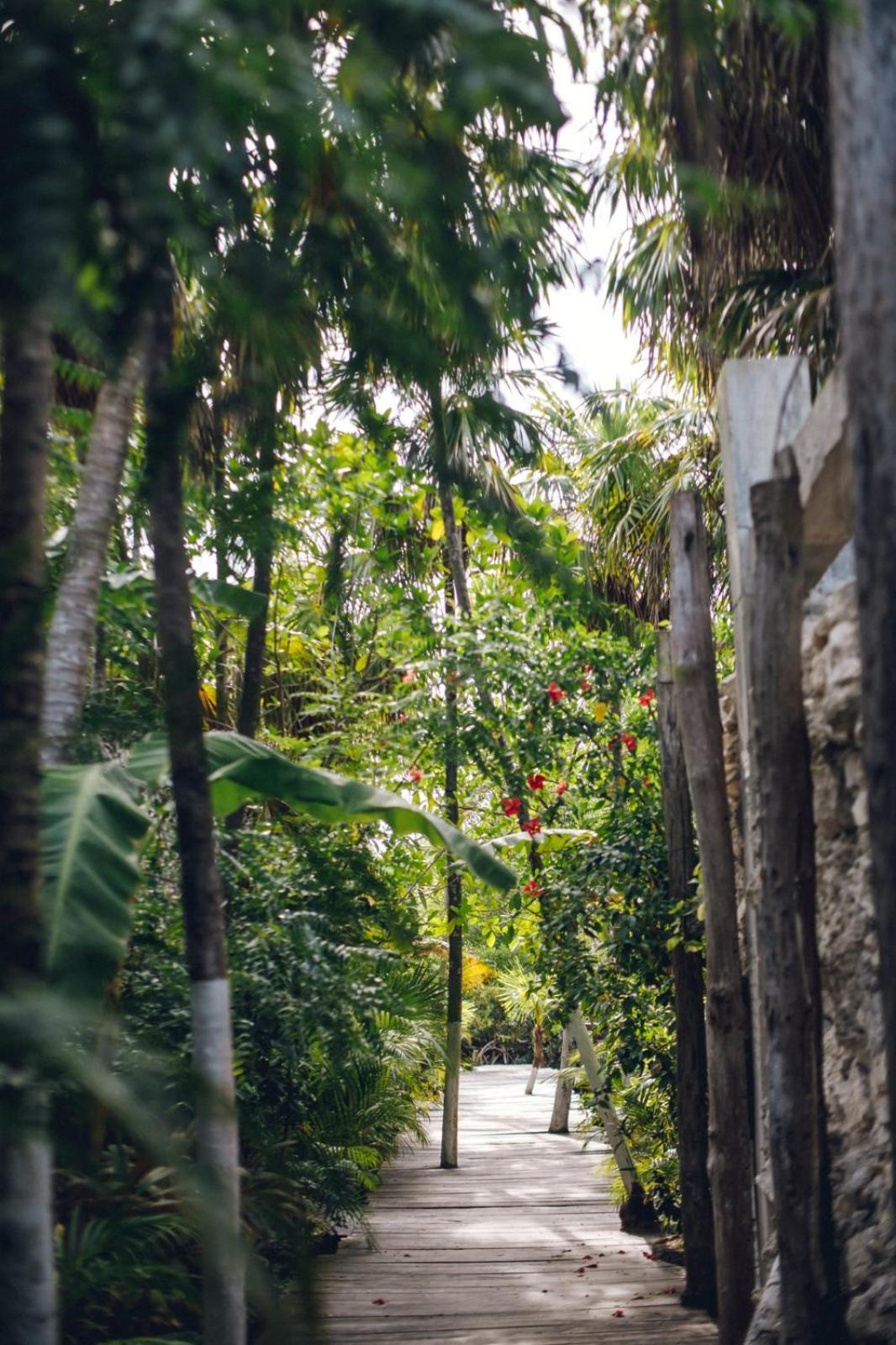 Uman Glamping & Cenote Tulum Hotel Exterior photo